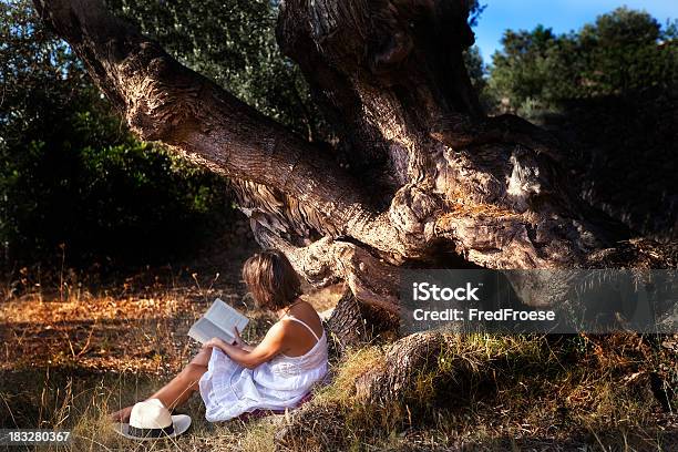 女性のためのリラックス - 1人のストックフォトや画像を多数ご用意 - 1人, オリーブの木, スペイン