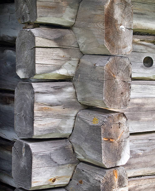 로그 객실 - log log cabin wood knotted wood 뉴스 사진 이미지