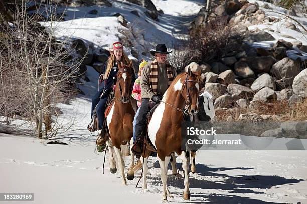 American Saddlebreds No Inverno - Fotografias de stock e mais imagens de Adulto - Adulto, Animal, Ao Ar Livre