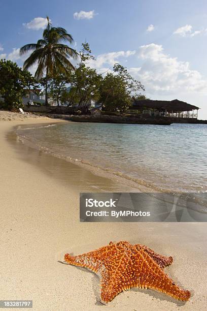 Estreladomar E Do Mar - Fotografias de stock e mais imagens de Azul - Azul, Cabana - Estrutura construída, Caraíbas