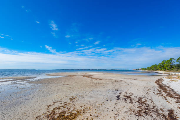 istock St. Andrews Bay Panama City Florida 1832818374