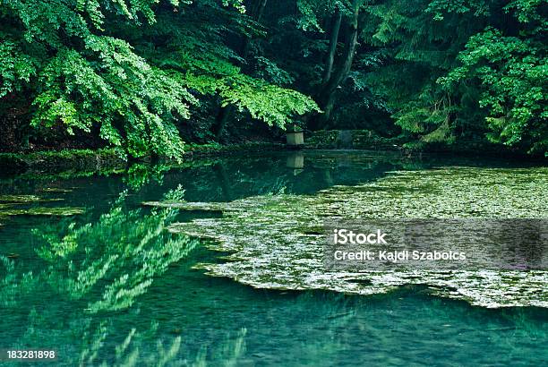 湖 - アメリカグレイシャー国立公園のストックフォトや画像を多数ご用意 - アメリカグレイシャー国立公園, カラフル, カラー画像