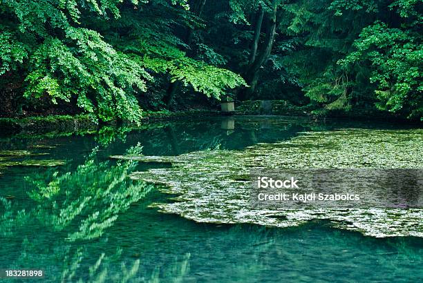 Lago - Fotografias de stock e mais imagens de Anoitecer - Anoitecer, Ao Ar Livre, Azul