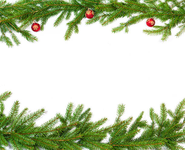 рождество веточка украшения - fir tree christmas tree isolated стоковые фото и изображения