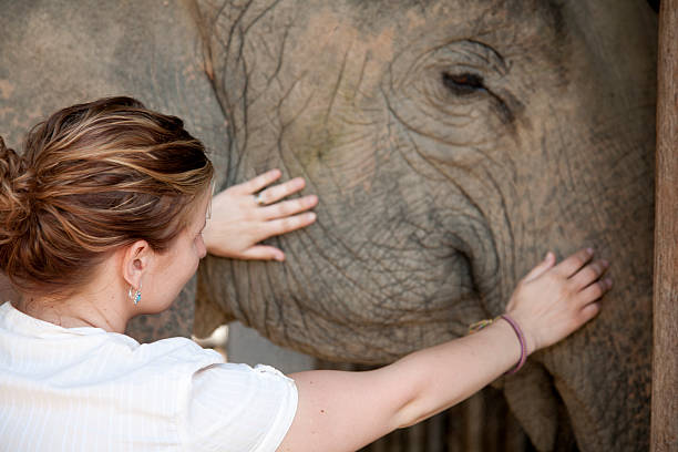 istock Thailand, close to a elephant. 183282107