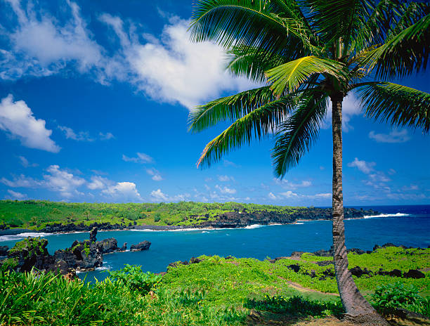 istock Maui Coastline, Hawaii Islands 183282129