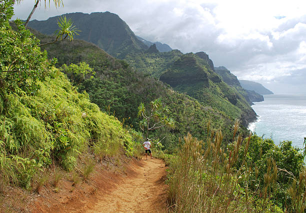 istock Hiking Na Pali Coast in Kauai, Hawaii. 183282248