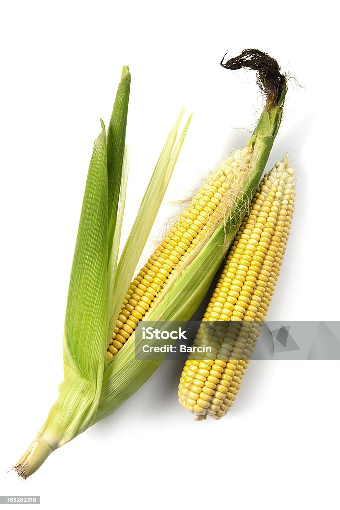 Corn cob Fresh corn on white background Cereal Plant Stock Photo