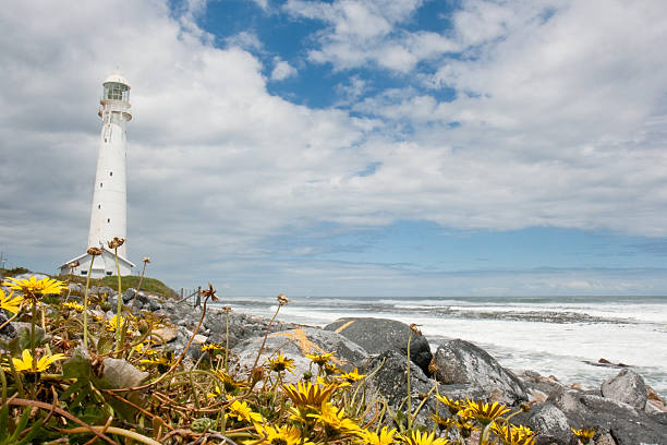 Lighthouse with yellow flowers and ocean "A lighthouse on a rocky coast, with yellow flowers." kommetjie stock pictures, royalty-free photos & images