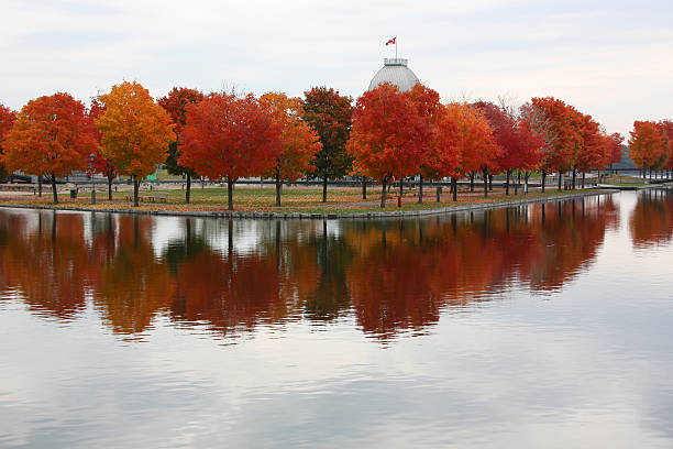istock Urban autum scenic with beautiful trees 183282408