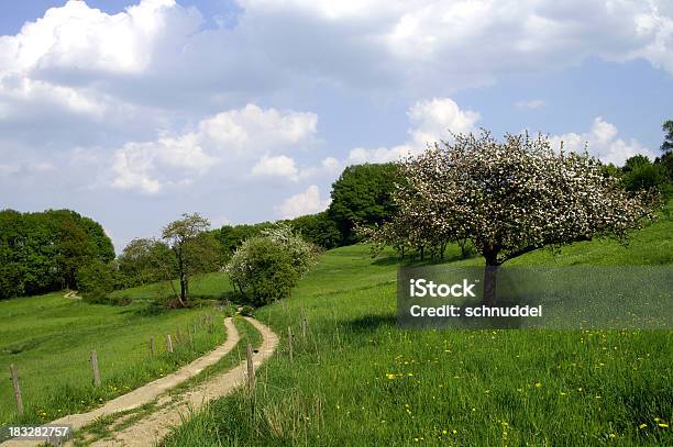 Frühling Landschaft Mit Blühenden Apfelbaum Stockfoto und mehr Bilder von Abgeschiedenheit - Abgeschiedenheit, Agrarbetrieb, Apfel