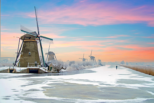 Traditonal windmills in the countryside from the Netherlands in winter at sunset