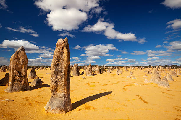 o deserto dos pináculos em parque nacional de nambung, austrália ocidental - nambung national park imagens e fotografias de stock