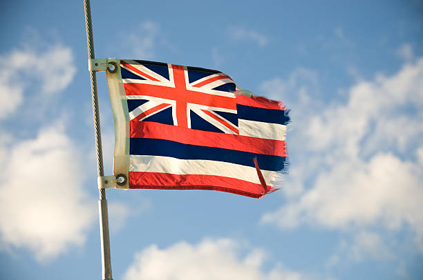istock flag of hawaii 183283543
