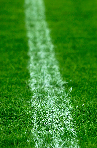 istock sports field 183283660