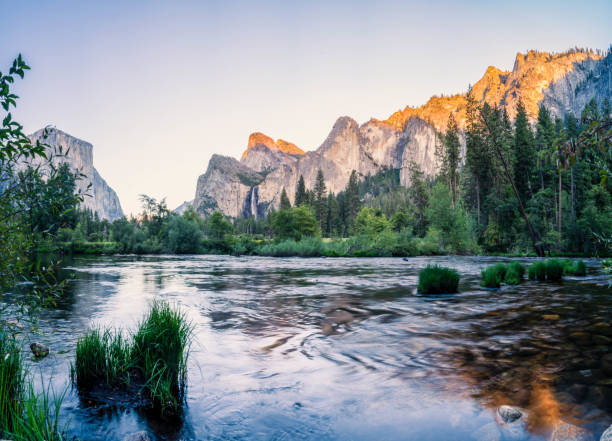 yosemite national park panorama in summer - merced county imagens e fotografias de stock