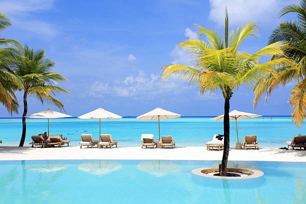 istock Exotic resort in Maldives. 183284383