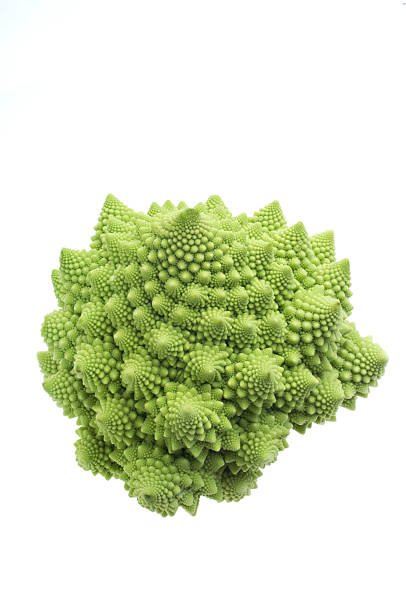 brokuły romanesco odizolowany na białym tle. - romanesque broccoli cauliflower cabbage zdjęcia i obrazy z banku zdjęć