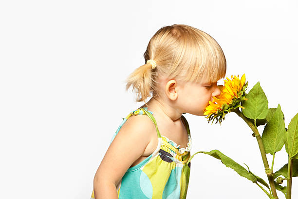 Flower Smelling stock photo