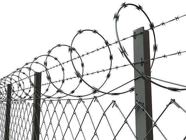 istock Close-up of a barbed wire fence 183284984