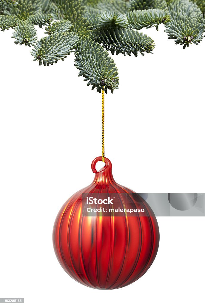 Christmas ball hanging on a fir tree branch Christmas ball hanging on a fir tree branch. Similar pictures from my portfolio: Branch - Plant Part Stock Photo