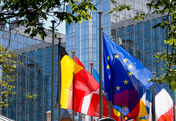 Flags with European Parliament in Brussels "Blue/yellow European flag, among others,fluttering in front of the European Parliament building in Brussels." parliament building photos stock pictures, royalty-free photos & images