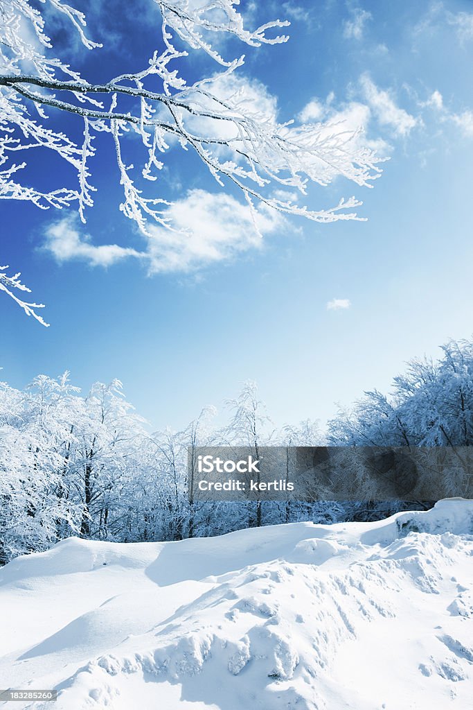 Natureza de inverno - Foto de stock de Azul royalty-free