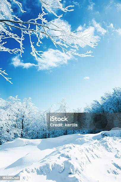 Foto de Natureza De Inverno e mais fotos de stock de Azul - Azul, Beleza natural - Natureza, Bosque - Floresta