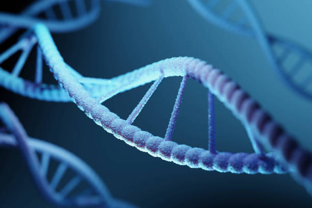 istock Digital illustration of a DNA model on blue background. 3D rendering genetics concept 1832857408