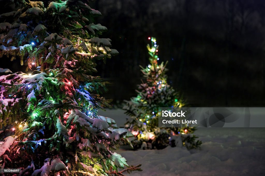 Árboles de Navidad en la nieve por la noche. - Foto de stock de Aire libre libre de derechos