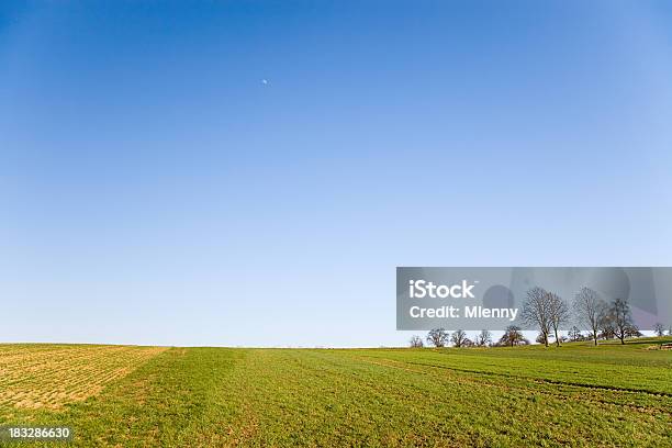 夏の風景 - Horizonのストックフォトや画像を多数ご用意 - Horizon, オークの木, コンセプト