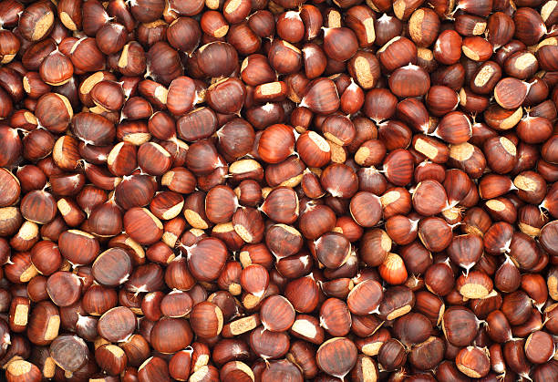 Chestnut background