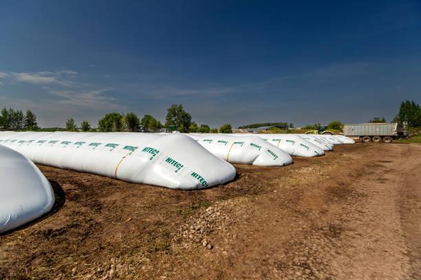 grain is loaded into a polyethylene sleeve using a grain packaging machine Kazan, Russia - August 5, 2020: Grain is loaded into a polyethylene sleeve using a grain packaging machine silo bag stock pictures, royalty-free photos & images