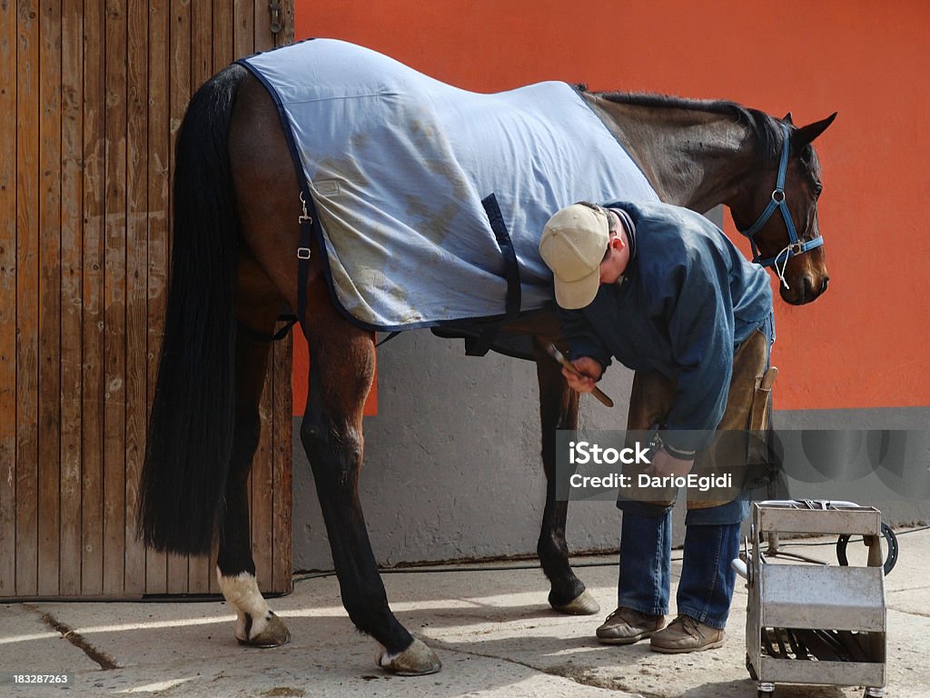 Animali horse shoe - Foto stock royalty-free di Affari