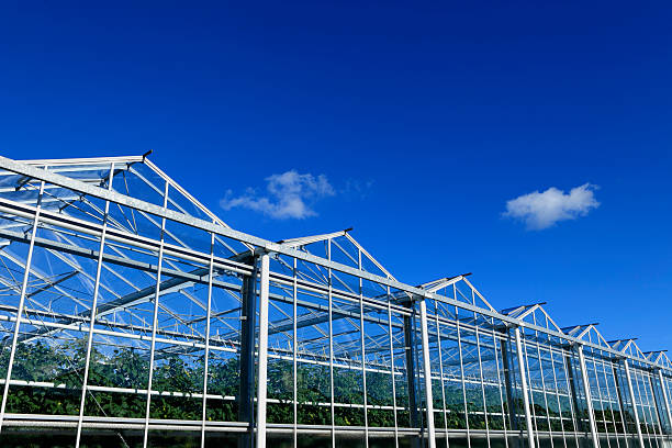 istock side view of an agricultural greenhouse 183287519