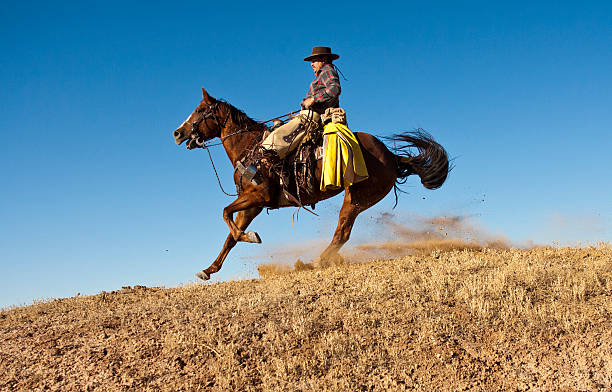 istock Cowboy brings horse to abrupt stop 183287540