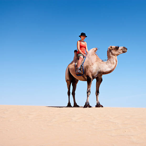 istock Young woman riding on the camel 183287760