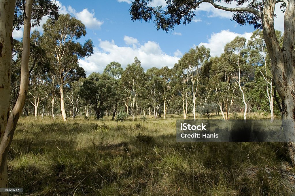 coutryside australiano - Royalty-free Agricultura Foto de stock