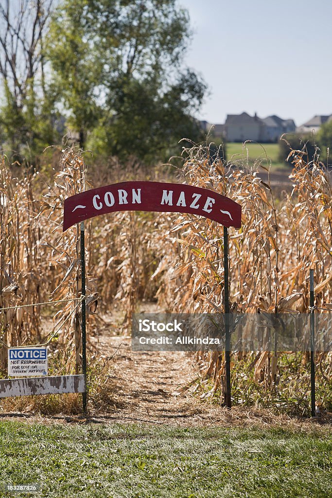 corn maze entrance a sign at to the entrance of a corn maze in the Midwest of USA at harvest time Corn Maze Stock Photo