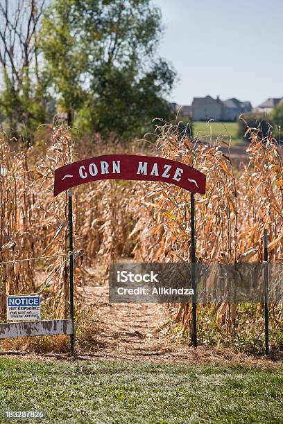 Corn Maze Entrance Stock Photo - Download Image Now - Corn Maze, Sign, Activity