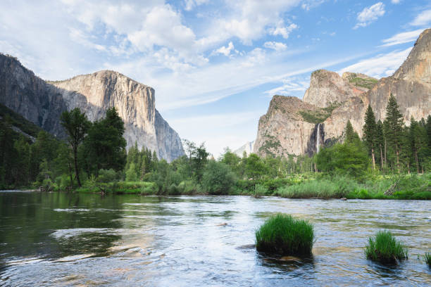 istock Yosemite National Park Panorama in summer 1832878958