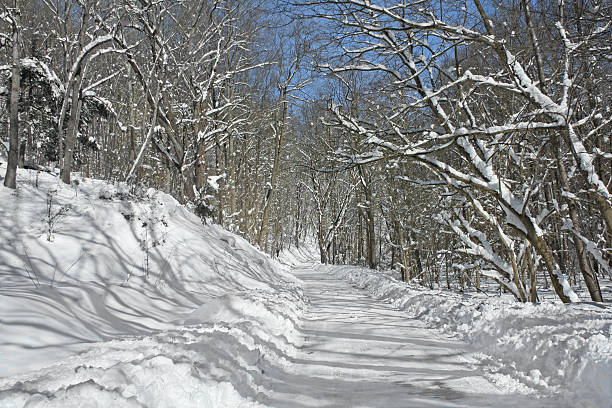 istock Snowy Country Lane 183287950