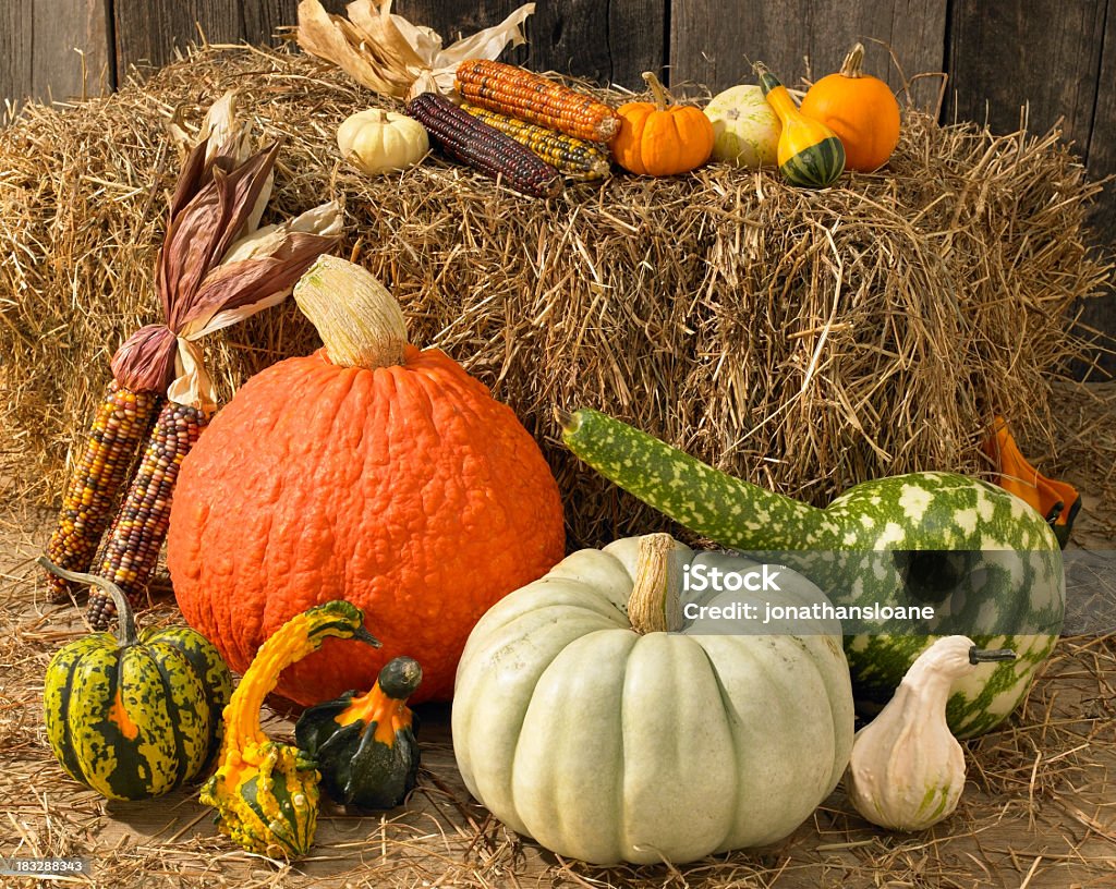 Autumn Still Life with vegetables and fruits A colorful group of autumn fruits and vegetables including pumpkins,squash, gourds and corn. Lit warmly, with hay and weathered wood in the background.  Gourd Stock Photo
