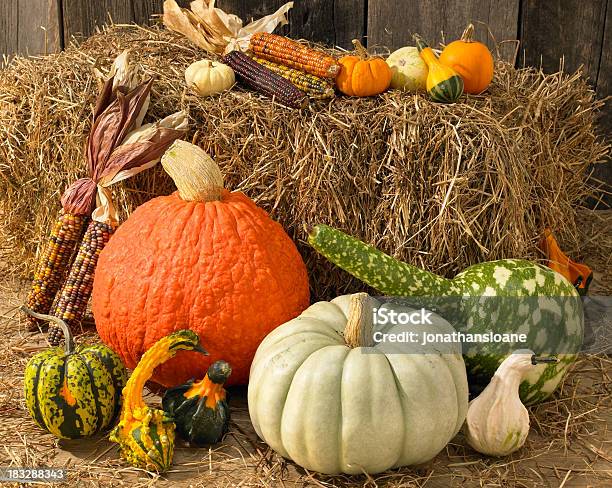 Autumn Still Life With Vegetables And Fruits Stock Photo - Download Image Now - Gourd, Pumpkin, Straw