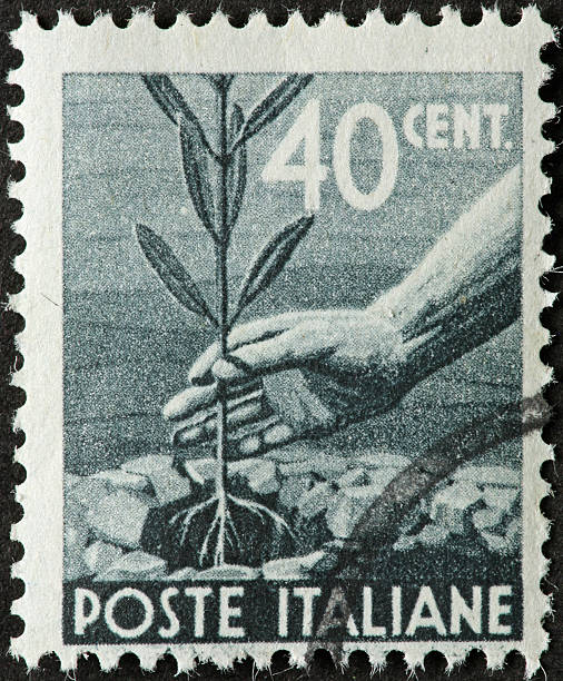 istock hand planting a tree on an old Italian stamp 183288344