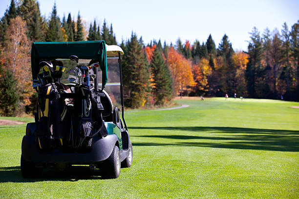 골프 선수 탑승형 in 골프 카트 다가갔다 퍼팅 그린 - golf cart golf bag horizontal outdoors 뉴스 사진 이미지