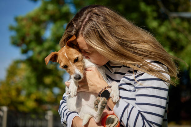 istock Woman holds her dog on hands and embracing with it 1832885259