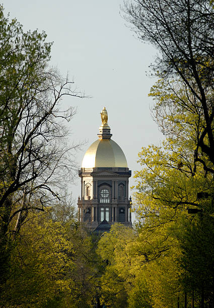 dôme doré de printemps - university of notre dame photos et images de collection