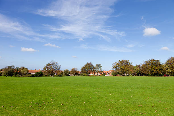 istock Open area of green grass and a blue summer sky 183288971