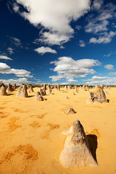 los pináculos desierto en parque nacional de nambung, australia occidental - nambung national park fotografías e imágenes de stock